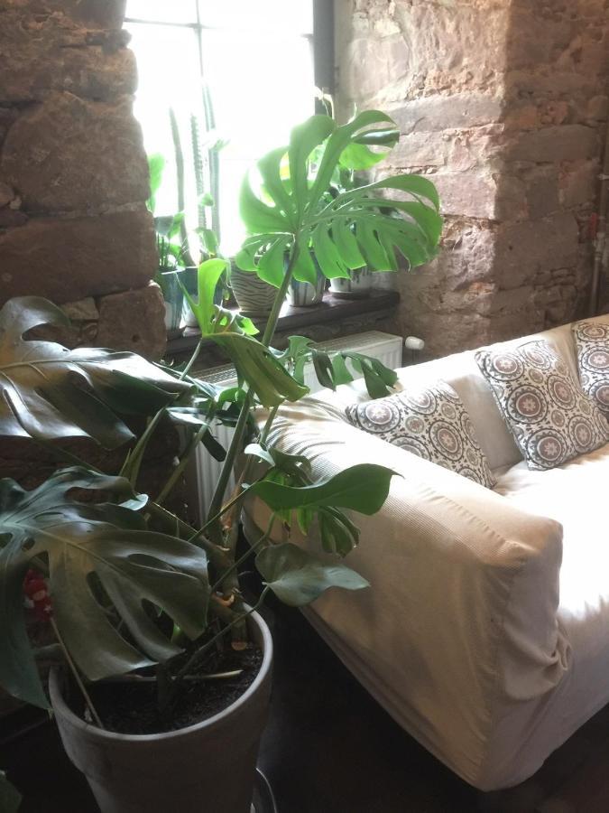 Centrum Turystyki Niekonwencjonalnej Srebrna Gora Bagian luar foto